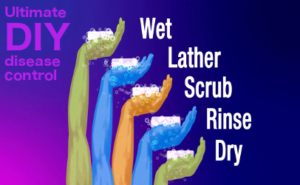 Wet Lather Scrub Rinse Dry
